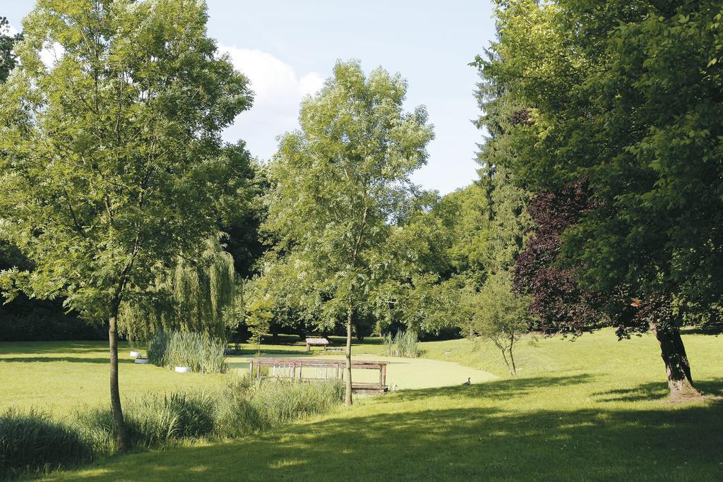 Logis Hotel - Restaurant Le Tulipier Vienne-le-Château Pokoj fotografie